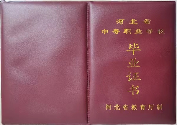 高中毕业证与职业教育的关联