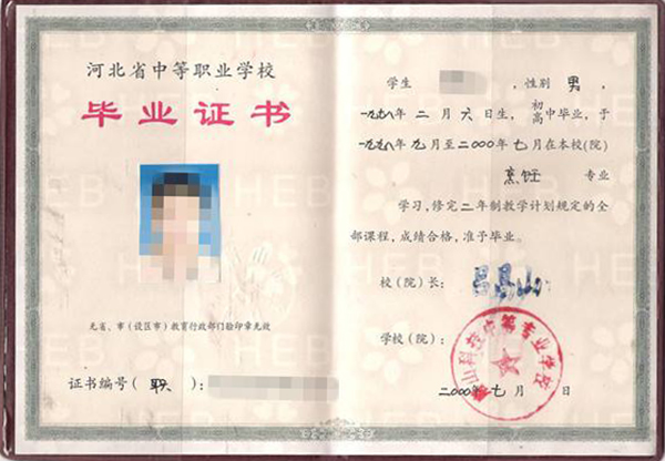 中专毕业证样本对比分析